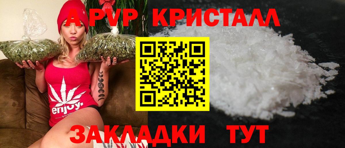 Отрадный  Alpha PVP СК  A PVP крисы CK  дарнет шоп  A PVP СК КРИС  Вход с VPN 