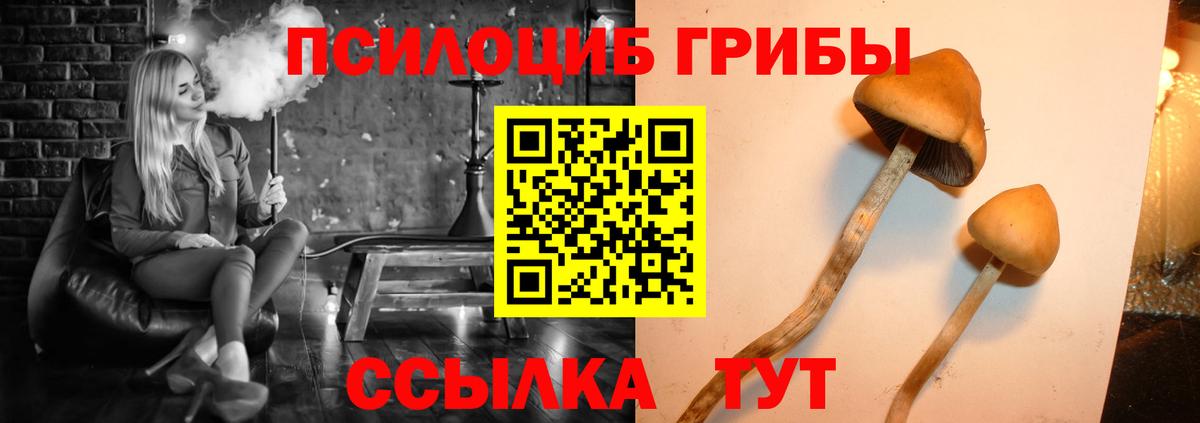 купить  цена  Псилоцибиновые грибы ЛСД  Псилоцибиновые грибы Cubensis  Вход с VPN  Отрадный 