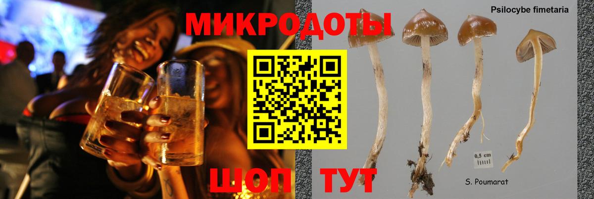 Галлюциногенные грибы Magic Shrooms Отрадный